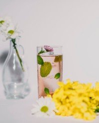cocktail sidro